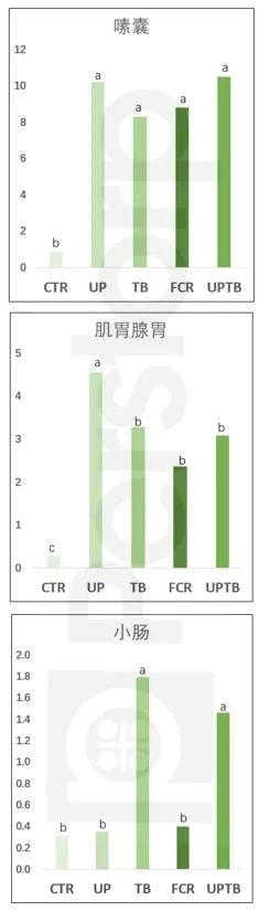 不同处理对肉鸡24日龄不同部位消化道食糜中丁酸含量的影响（mmol/g DM）